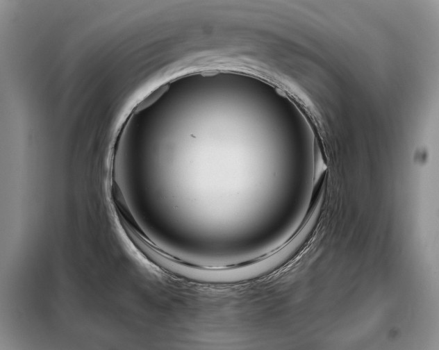 X0000099311528200805021302