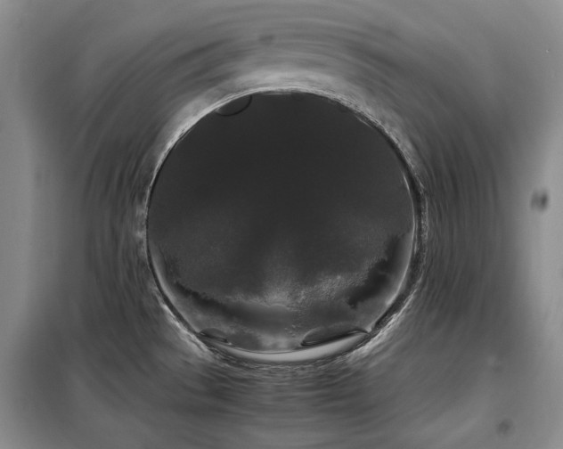 X0000099311529200805021302