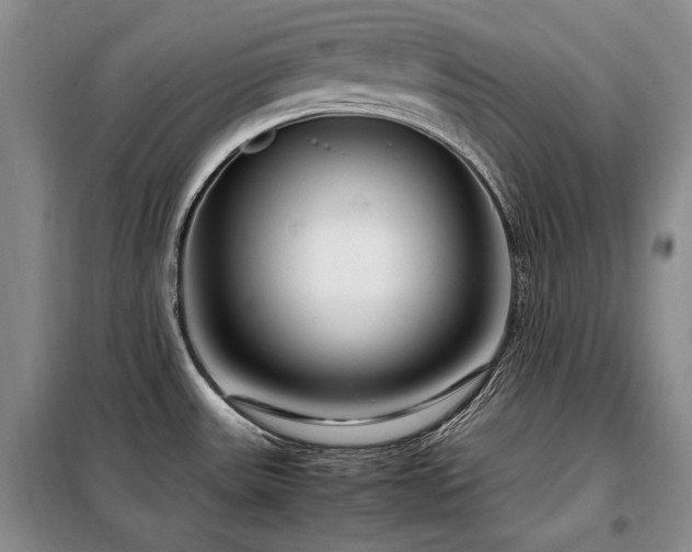 X0000099311531200805021302