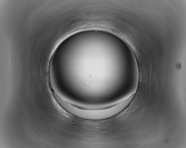 X0000099311532200805021302
