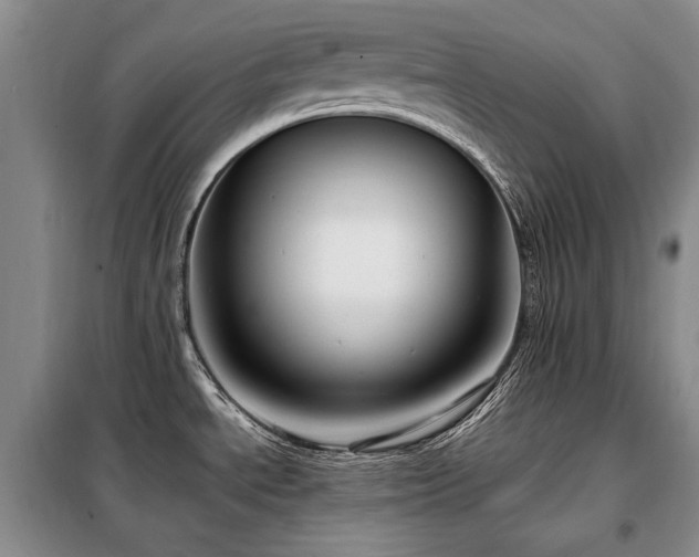 X0000099311534200805021302