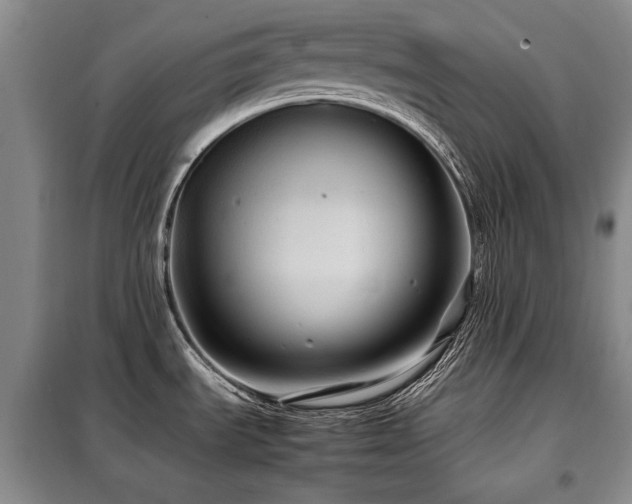 X0000099311535200805021302