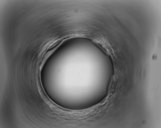 X0000099310001200805091029