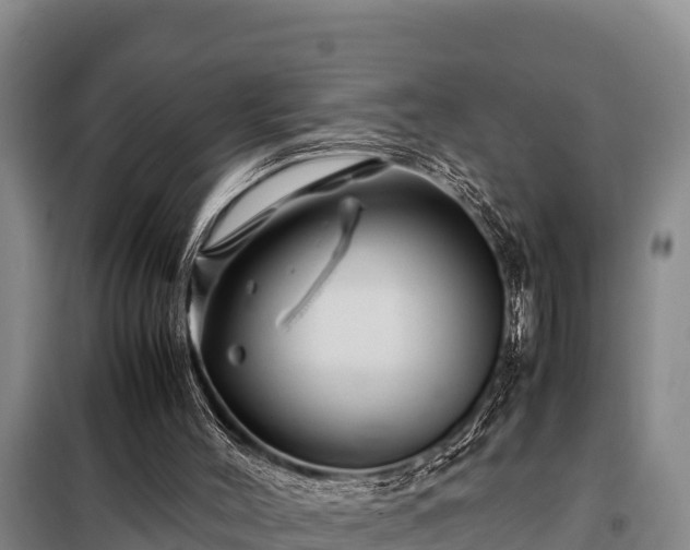 X0000099310004200805091029