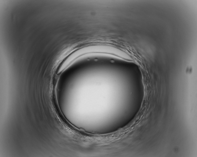 X0000099310005200805091029