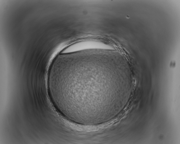 X0000099310006200805091029