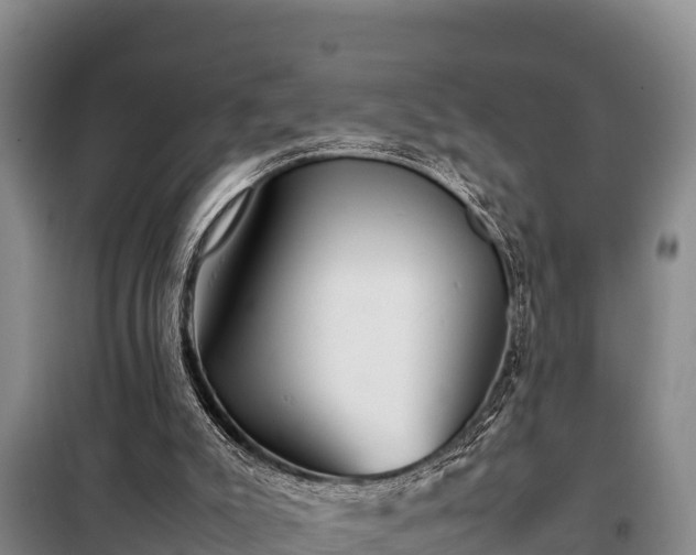 X0000099310007200805091029