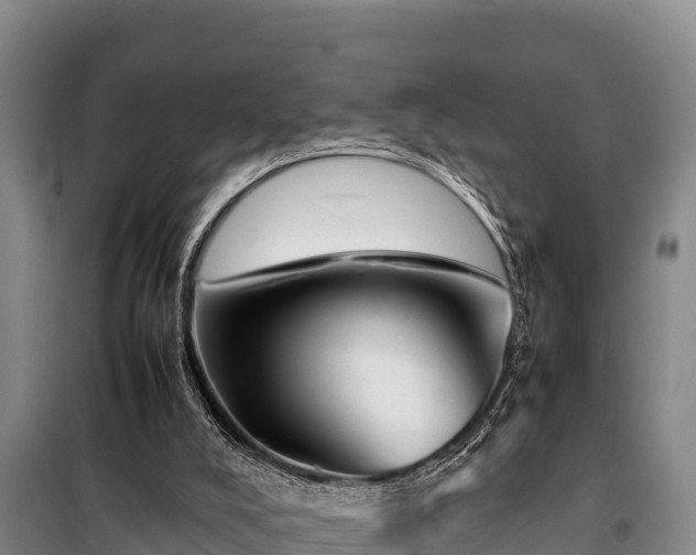 X0000099310008200805091029