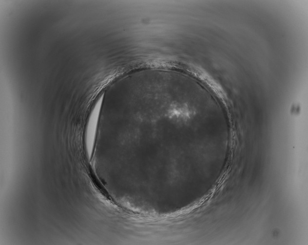 X0000099310009200805091029