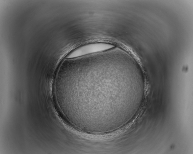 X0000099310010200805091029