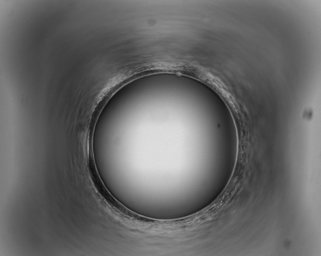 X0000099310011200805091029