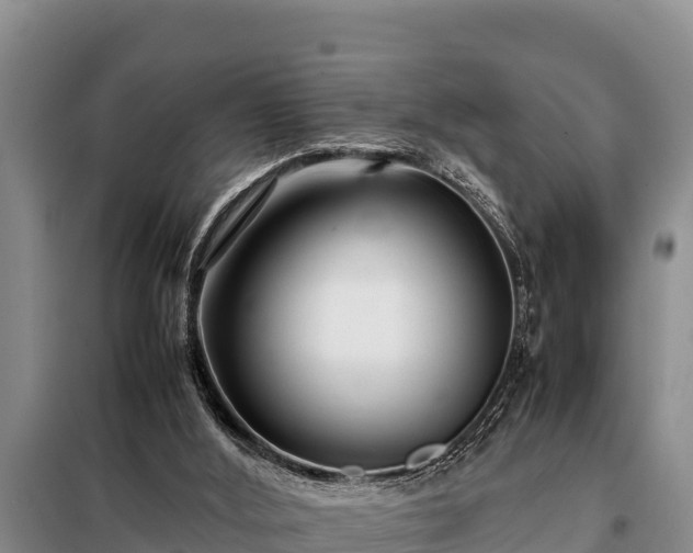 X0000099310012200805091029