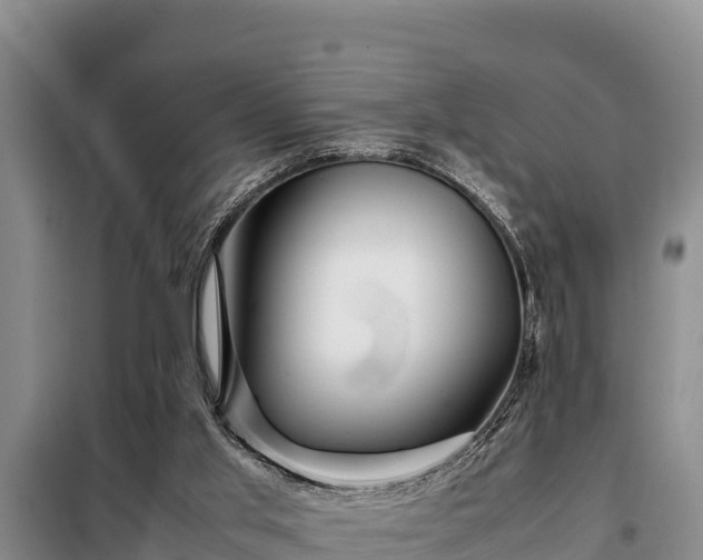 X0000099310013200805091029