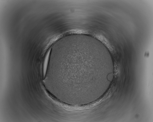 X0000099310014200805091029