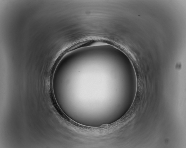 X0000099310015200805091029