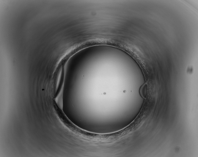 X0000099310016200805091029