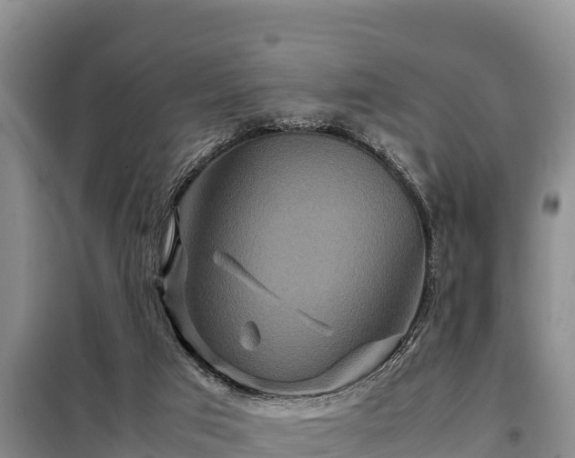 X0000099310017200805091029