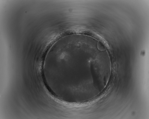 X0000099310018200805091029