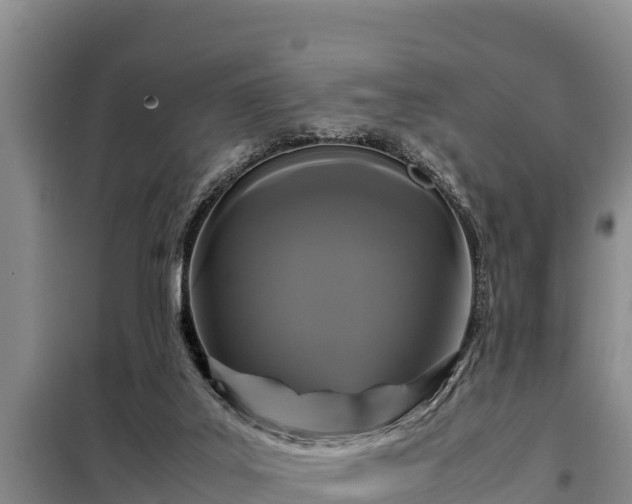 X0000099310019200805091029