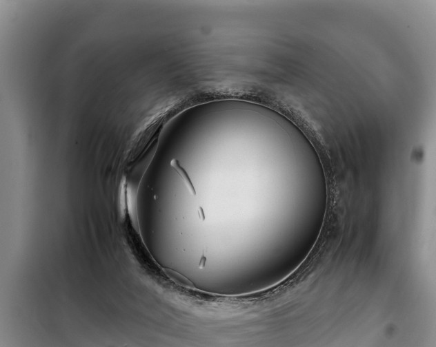 X0000099310020200805091029