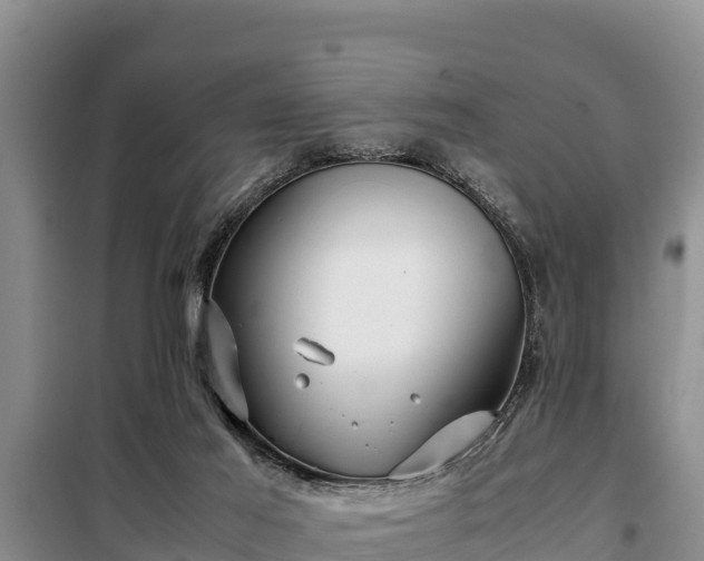 X0000099310021200805091029