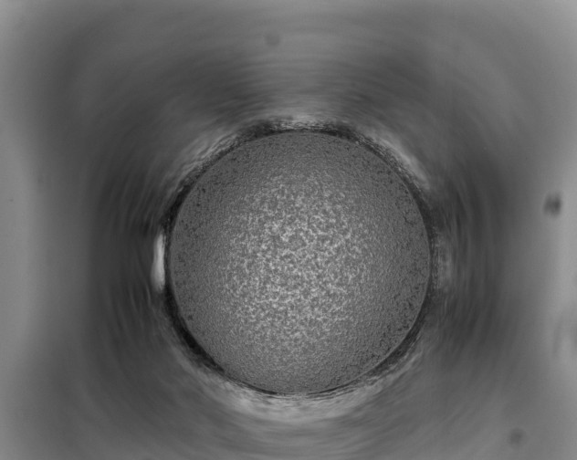 X0000099310022200805091029