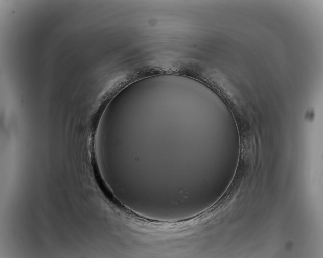 X0000099310023200805091029