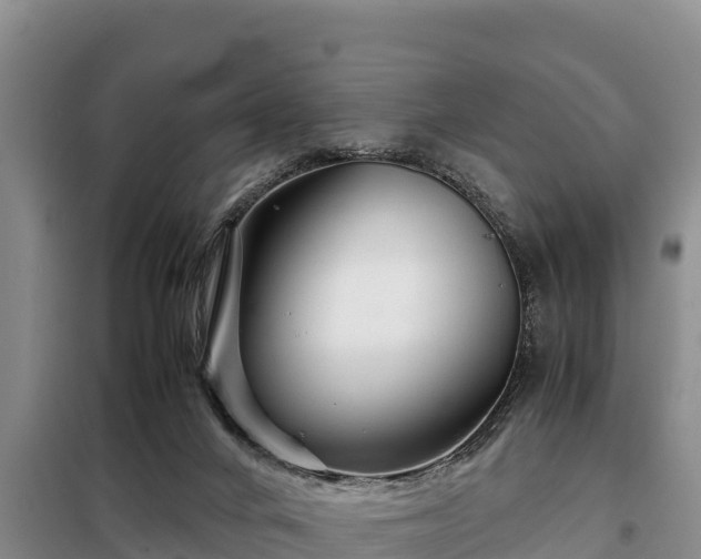 X0000099310024200805091029