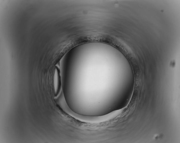 X0000099310025200805091029