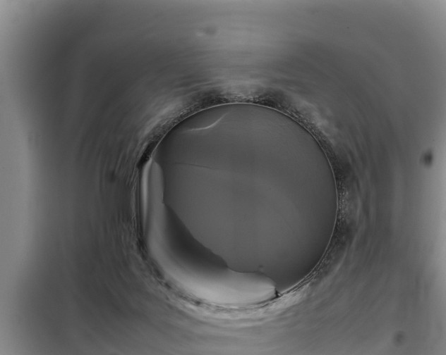 X0000099310027200805091029