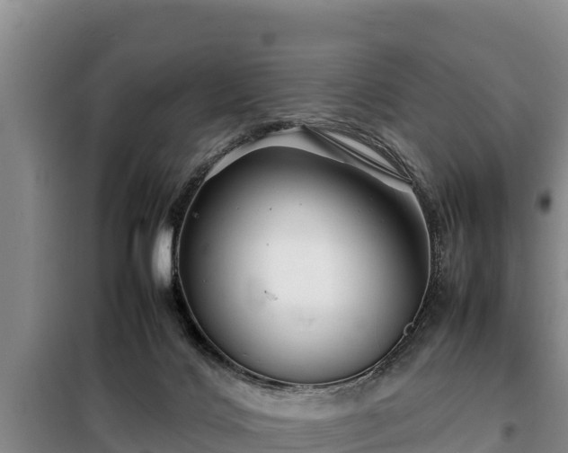 X0000099310028200805091029