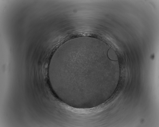 X0000099310030200805091029