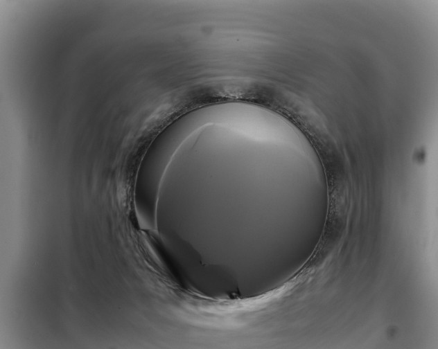 X0000099310031200805091029