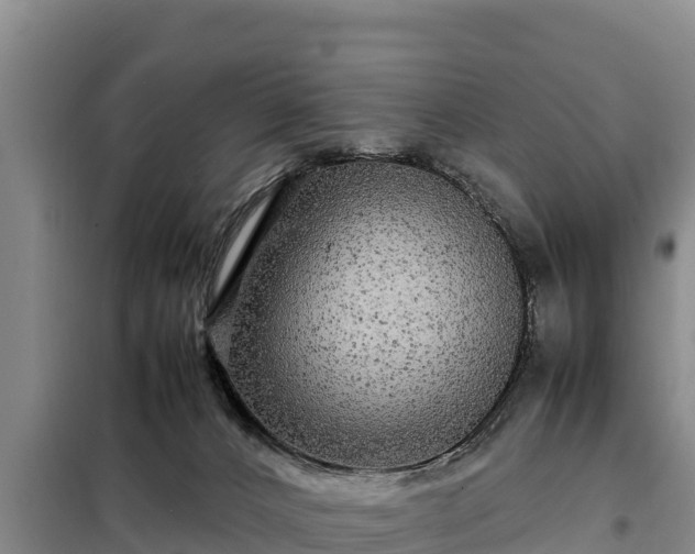 X0000099310032200805091029