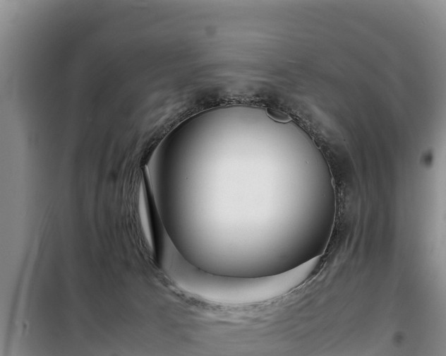 X0000099310033200805091029