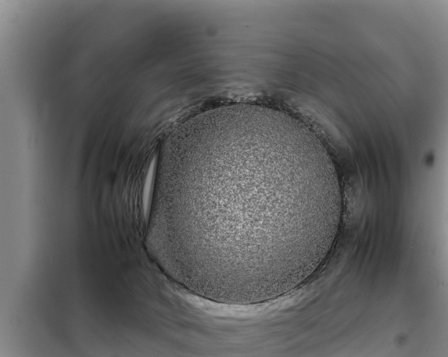 X0000099310034200805091029