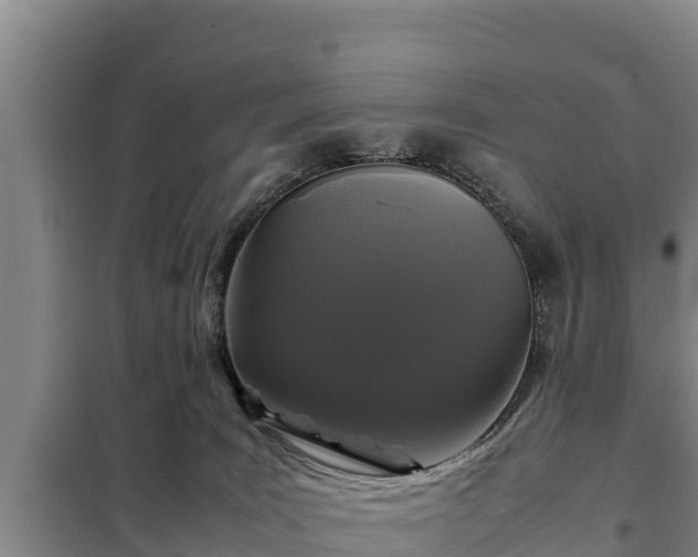 X0000099310035200805091029