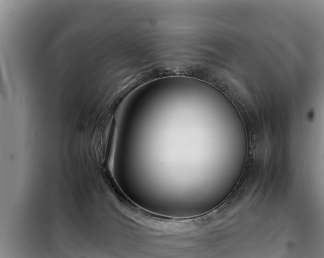 X0000099310036200805091029