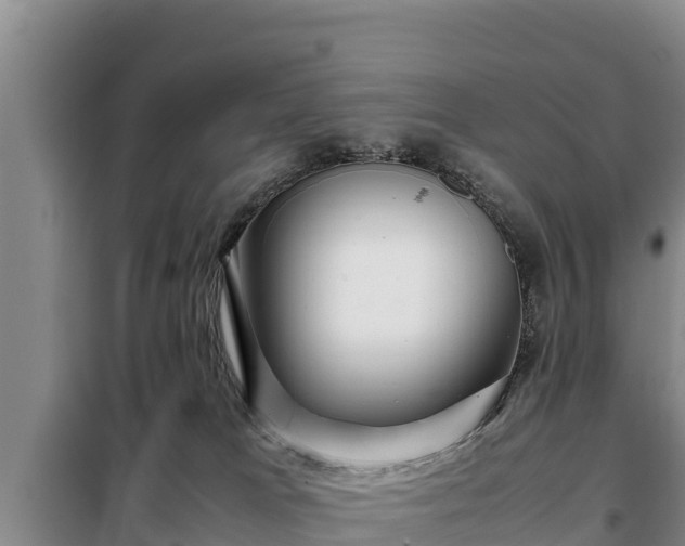 X0000099310037200805091029