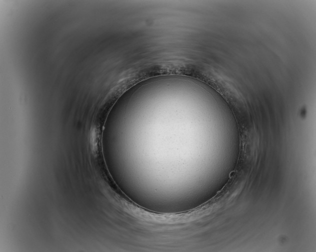 X0000099310038200805091029