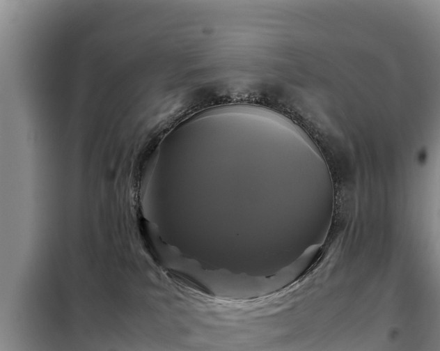 X0000099310039200805091029