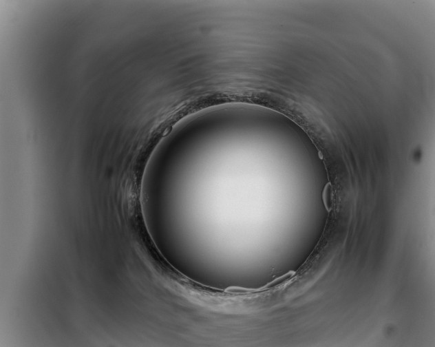 X0000099310040200805091028