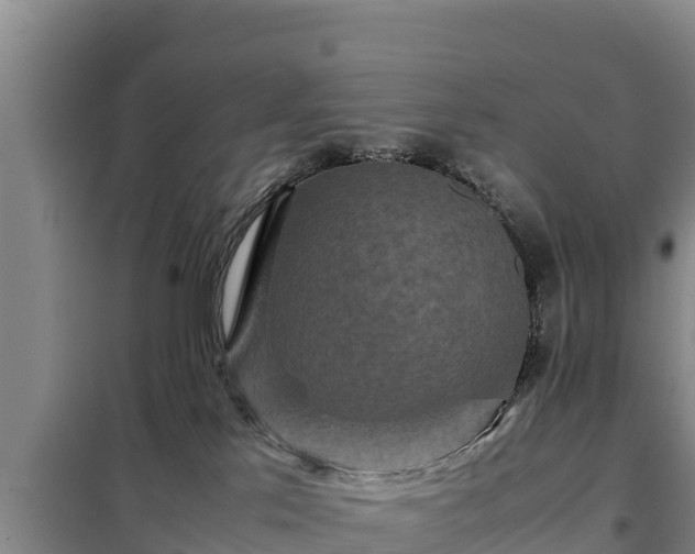 X0000099310041200805091028