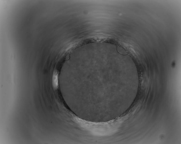 X0000099310042200805091028