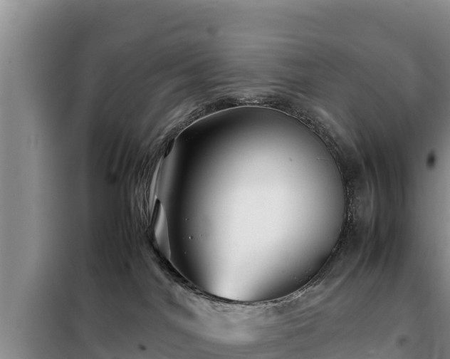 X0000099310044200805091028