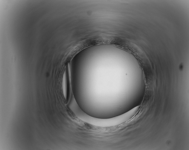 X0000099310045200805091028