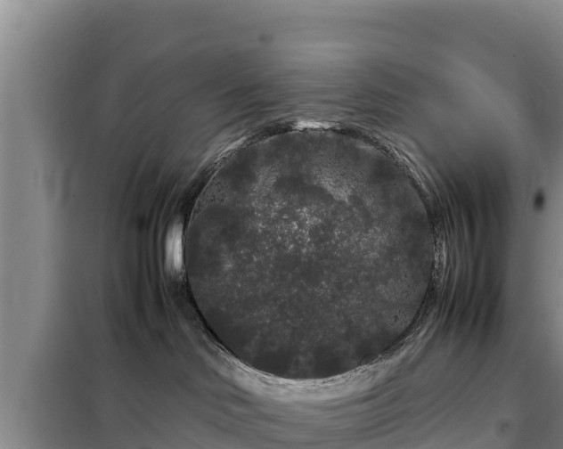 X0000099310046200805091028