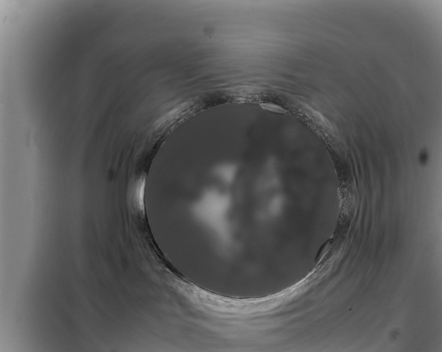 X0000099310047200805091028