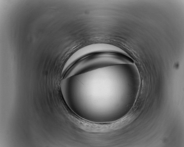 X0000099310048200805091028