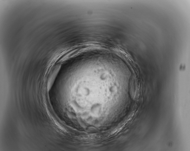 X0000099310049200805091028